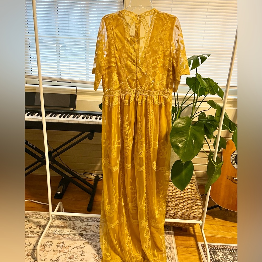 Pink Blush Marigold Lace Maxi Dress - Picture 4 of 7